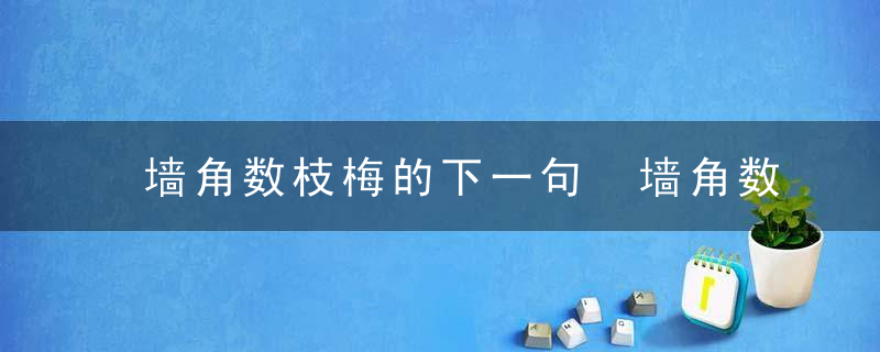 墙角数枝梅的下一句 墙角数枝梅出自哪